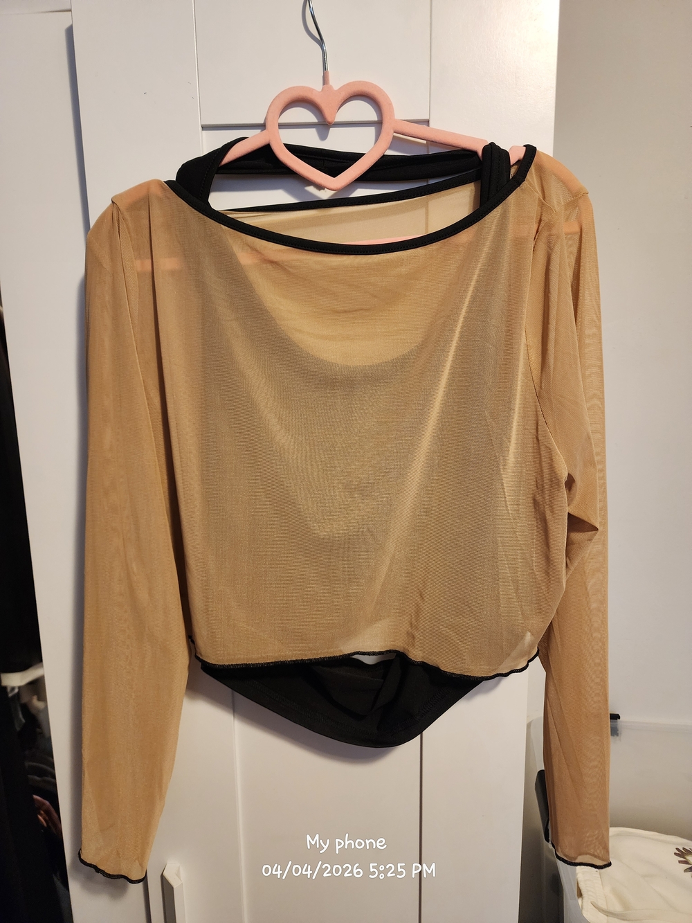 Sheer Long-Sleeve Crop Top in Tan with Black Trim